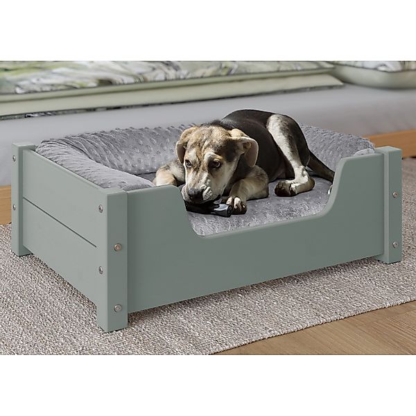 Erst-Holz Gemütliches Tierbett für Katzen und Hunde 60 x 40 cm Kiefer Grau günstig online kaufen