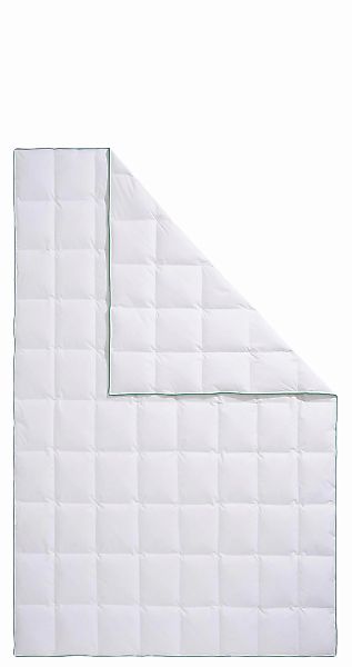 fjödur Daunenbettdecke "Fee" leicht Füllung 80Daunen20Federn 1 Stk. tlg. günstig online kaufen