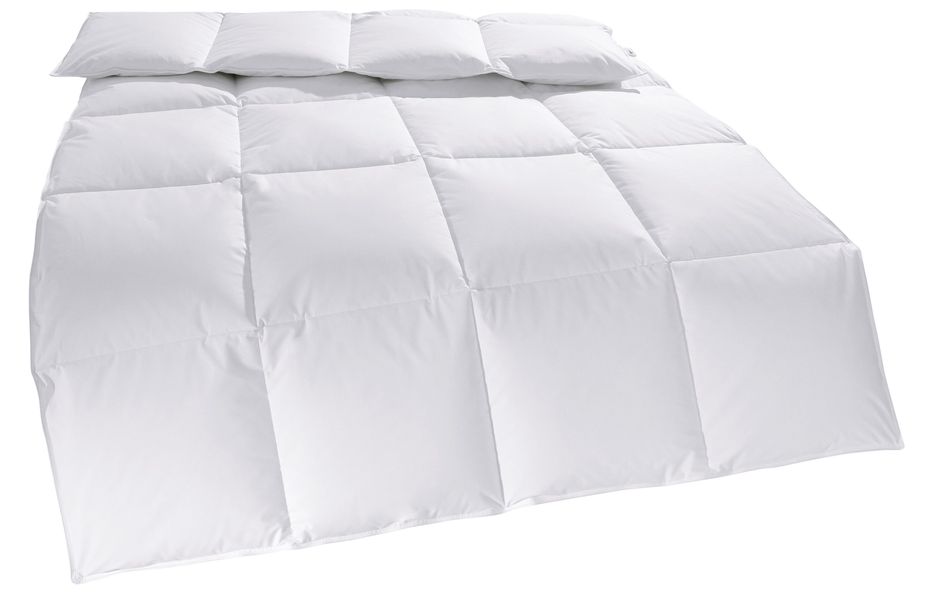 my home Daunenbettdecke "Cyra, Bettdecke 135x200 cm, 155x220 cm" warm Füllu günstig online kaufen