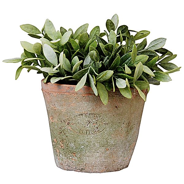 Dekowunder Übertopf 12 cm hoch Aged günstig online kaufen