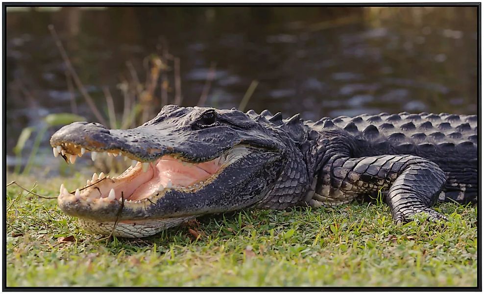 Papermoon Infrarotheizung »Krokodil«, sehr angenehme Strahlungswärme günstig online kaufen