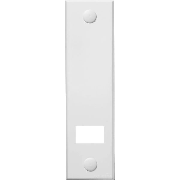 SCHELLENBERG Gurtwickler-Abdeckplatte 53003 günstig online kaufen