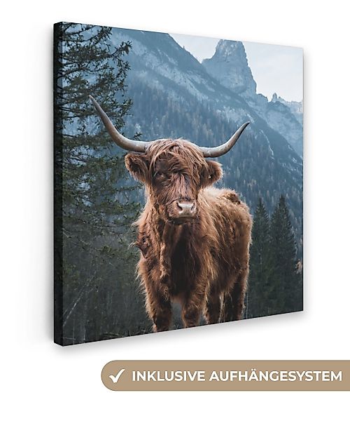 OneMillionCanvasses® Leinwandbild Kuh - Schottischer Highlander günstig online kaufen