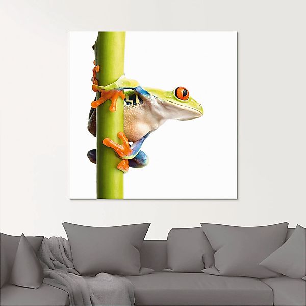 Artland Glasbild "Frosch umfasst einen Pflanzenstengel" Wassertiere 1 Stk. günstig online kaufen
