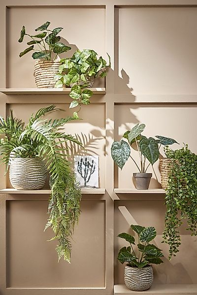 Kunstpflanze Mica künstlicher Pothos grün im günstig online kaufen