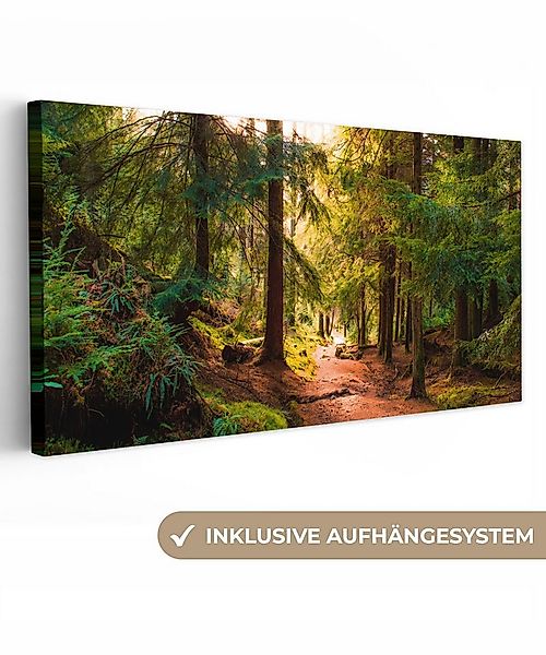 OneMillionCanvasses® Leinwandbild Panorama Wald - Weg - Bäume - Grün - Sonn günstig online kaufen