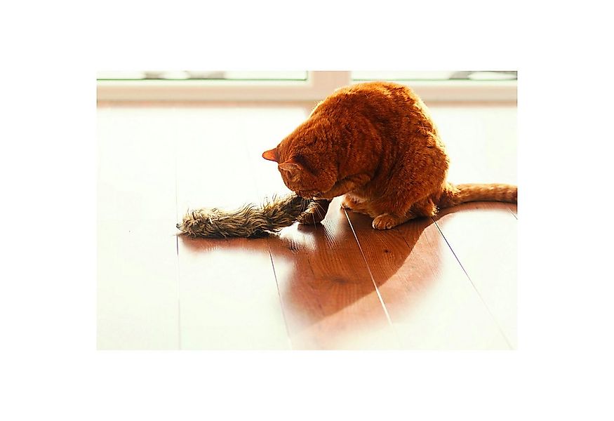 Aumüller Tierkuscheltier Katzenspielzeug Frettchen Figo, 3er Set, der ultim günstig online kaufen