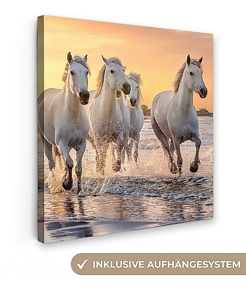 OneMillionCanvasses® Leinwandbild Pferde - Sonne - Meer - Strand - Tiere, F günstig online kaufen