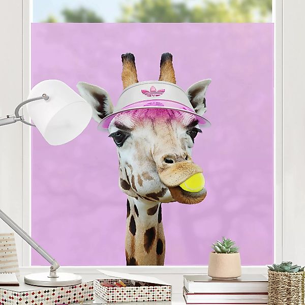 Fensterfolie Giraffe beim Tennis günstig online kaufen