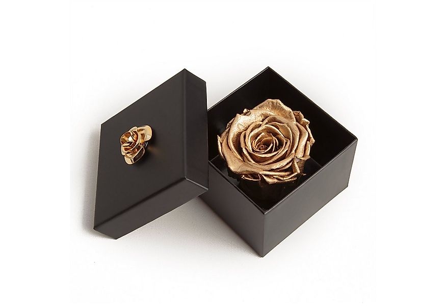Kunstblume 1 Infinity Rose haltbar 3 Jahre ewige Rose in Box Rose, ROSEMARI günstig online kaufen
