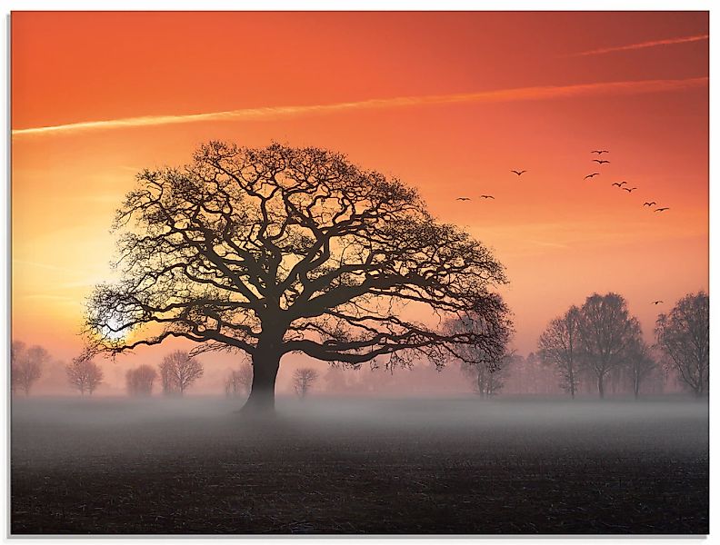 Artland Glasbild "Filigran und mehr..." Bäume 1 Stk. tlg. in verschiedenen günstig online kaufen
