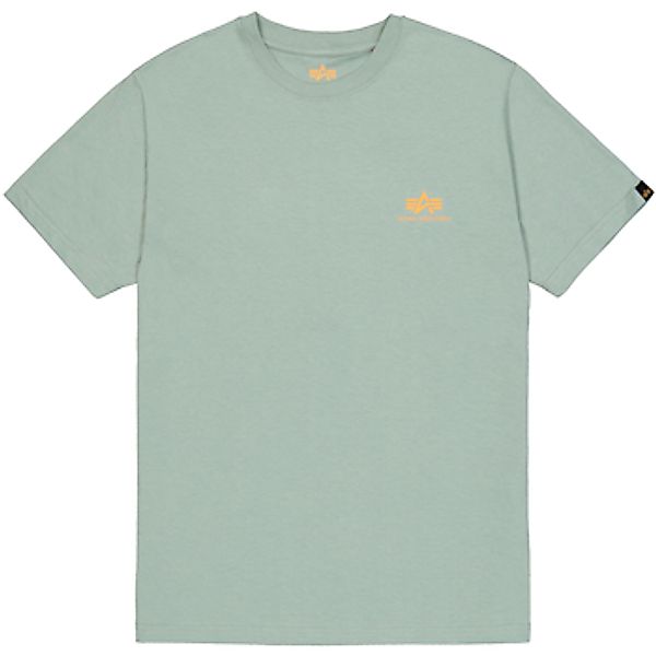 Alpha Industries  T-Shirt Backprint T-Shirt - frost green günstig online kaufen