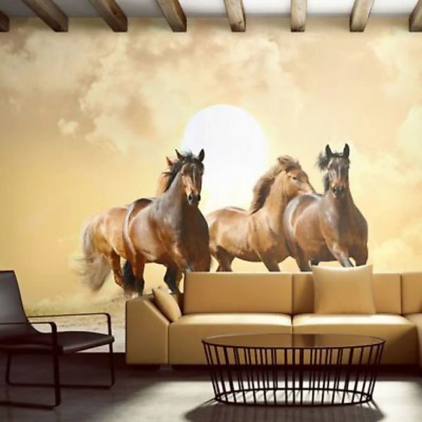 artgeist Fototapete Pferde im Galopp beige/braun Gr. 400 x 309 günstig online kaufen