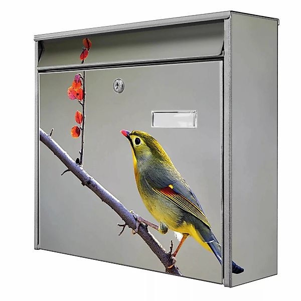Banjado Briefkasten Silber 36.2x32.2x10cm Groß / Inkl. Montagematerial & 2 günstig online kaufen