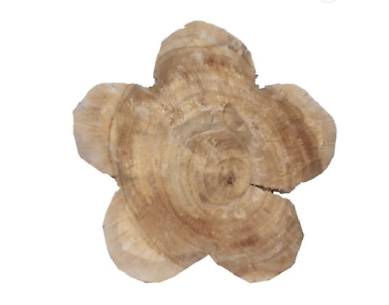 Holzblume Pappel natur Höhe 30 cm günstig online kaufen