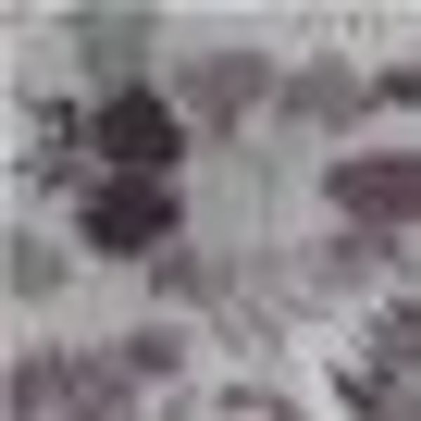 KiNZLER Bettwäsche "Bedruckte Poly-Cotton Bettwäsche "Vivian"" 2 Stk. tlg. günstig online kaufen