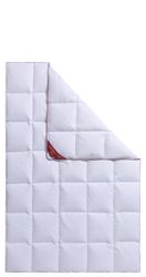 Hanse by RIBECO Daunenbettdecke "Jule" normal Füllung 90Daunen10Federn 1 St günstig online kaufen