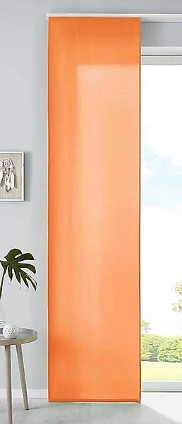 Gardinenbox Schiebegardine (1 St), Paneelwagen, blickdicht, Flächenvorhang günstig online kaufen