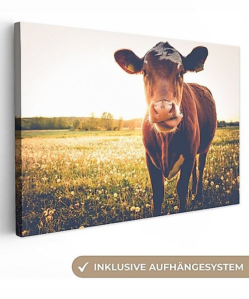 OneMillionCanvasses® Leinwandbild Kuh - Sonnenuntergang - Blumen - Gras - T günstig online kaufen
