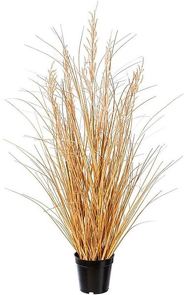 Kunstgras Grasbusch Carex Gras, Creativ green, Höhe 89 cm günstig online kaufen