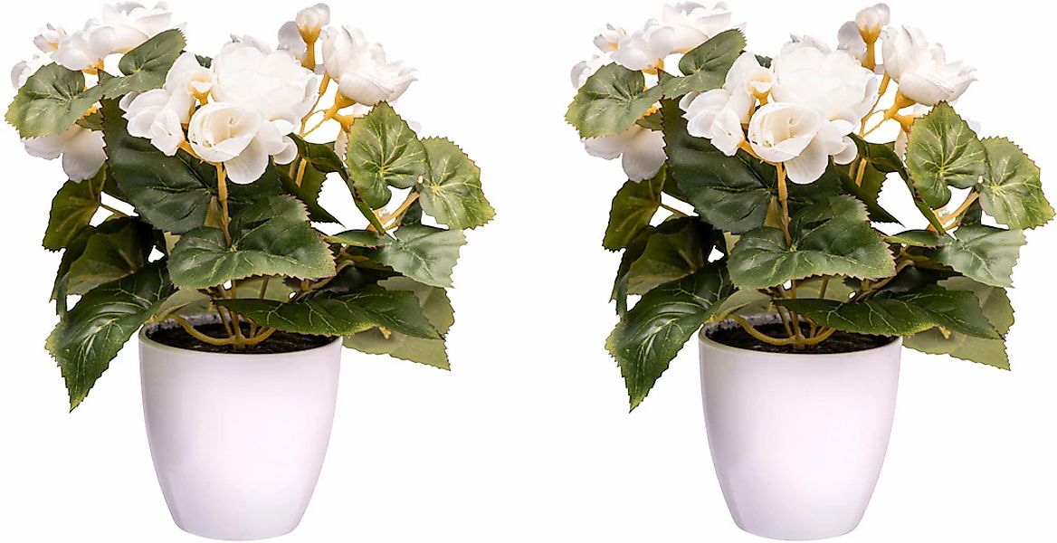 Creativ green Kunstblume "Begonienbusch" günstig online kaufen