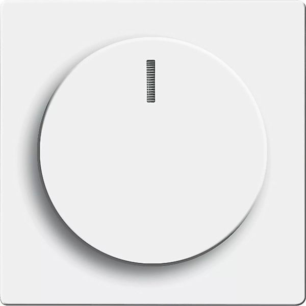 Busch-Jaeger Zentralscheibe dav/stws für Drehdimmer 6540-84-102 - 2CKA00659 günstig online kaufen