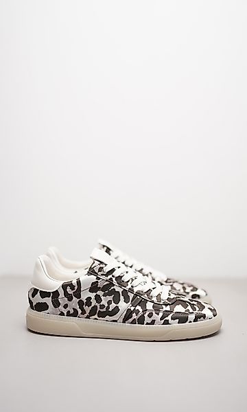 POP günstig online kaufen