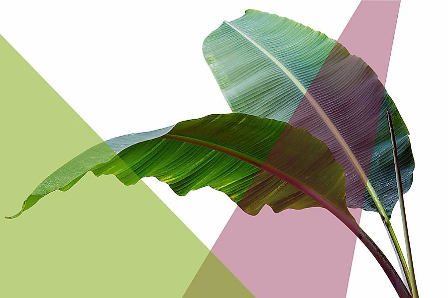 queence Acrylglasbild "Blätter" Blätter  Blätterbilder  Kunst  Pflanzen  Pf günstig online kaufen