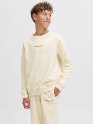 Jack & Jones Junior Sweatshirt JORNORREBRO günstig online kaufen
