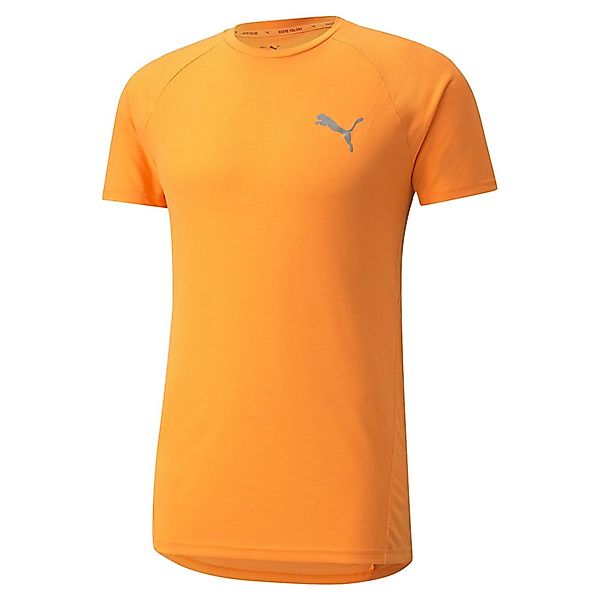 Puma Evostripe Kurzarm T-shirt L Orange Glow günstig online kaufen