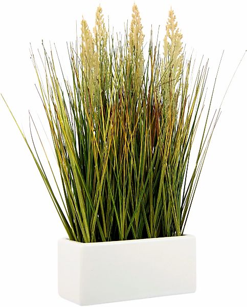 Kunstgras Gras, I.GE.A., Höhe 45 cm, in Keramikschale günstig online kaufen