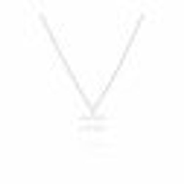 Anhänger mit Kette 925-Sterling Silber Glänzend 42cm Wassermann günstig online kaufen