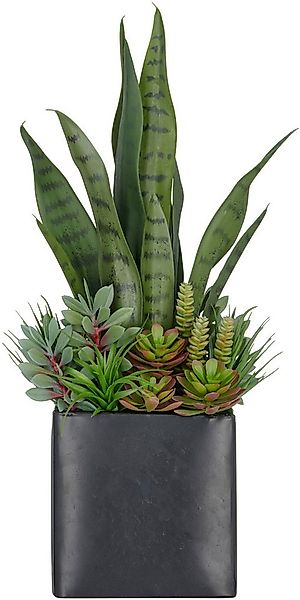 Kunstpflanze Arrangement aus Sukkulenten, Creativ green, Höhe 55 cm, mit ve günstig online kaufen