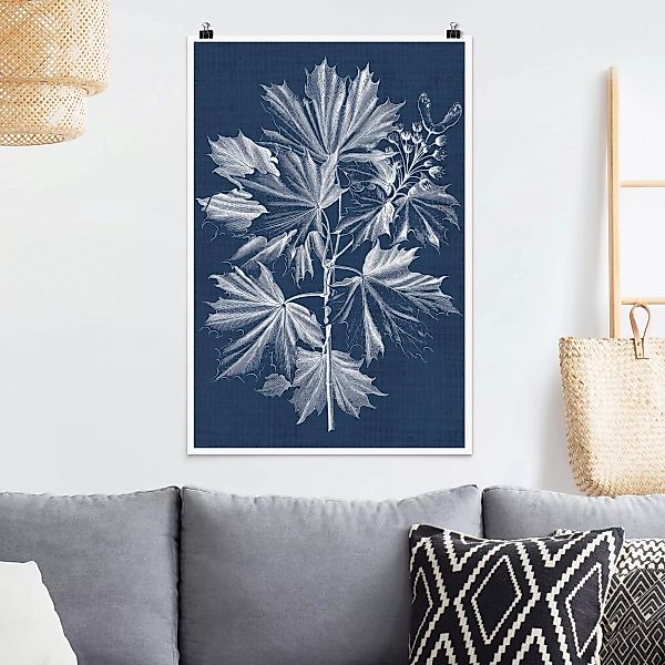 Poster Blumen - Hochformat Denim Pflanzenstudie V günstig online kaufen