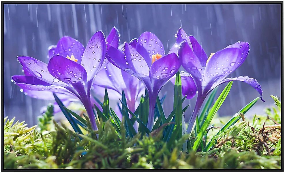 Papermoon Infrarotheizung »Blumen im Regen«, sehr angenehme Strahlungswärme günstig online kaufen