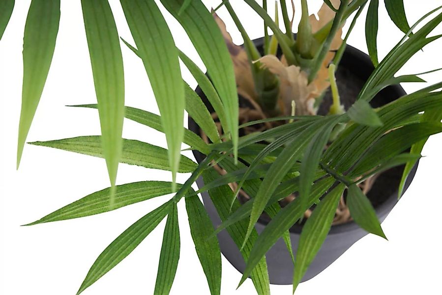 Botanic-Haus Künstliche Zimmerpflanze »Chamaedorea Palme« günstig online kaufen