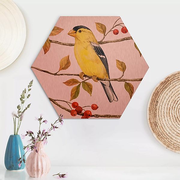 Hexagon-Alu-Dibond Bild Tiere Vögel und Beeren - Goldzeisig günstig online kaufen