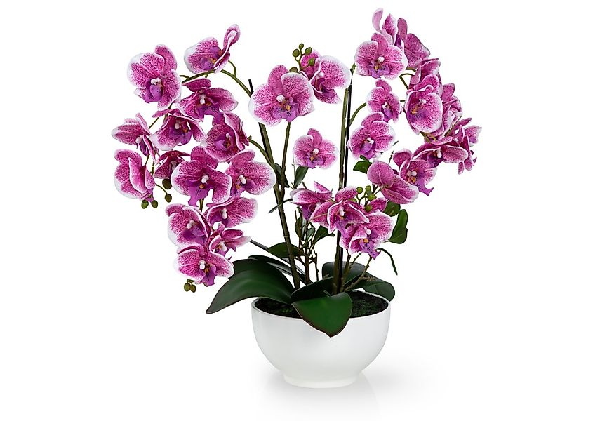 Kunstorchidee PASCH® XXL Orchidee künstlich wie echt (56cm) in Hochglanz-Ke günstig online kaufen