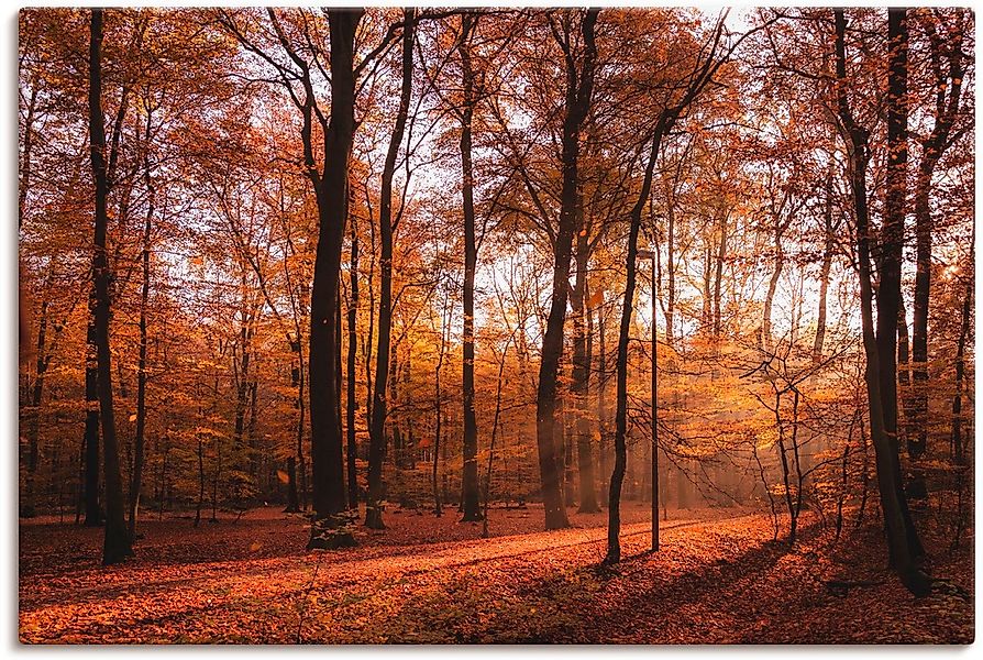Artland Leinwandbild "Sonnenaufgang im Herbst II" Wald 1 Stk. tlg. auf Holz günstig online kaufen