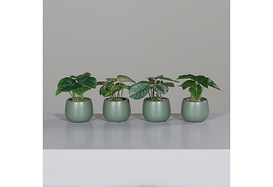 Kunstpflanze Künstliche Grünpflanzen im Set, 4 Dekorative Zimmerpflanzen, m günstig online kaufen