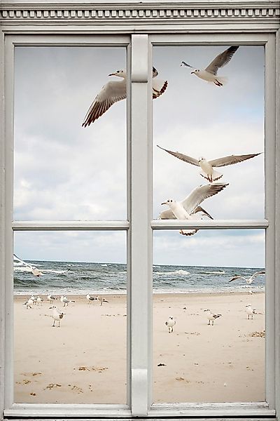 queence Wandsticker Möwen am Strand, Wandsticker, günstig online kaufen