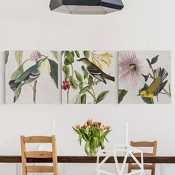 3-teiliges Leinwandbild Blumen - Quadrat Vögel auf Leinen Set I günstig online kaufen