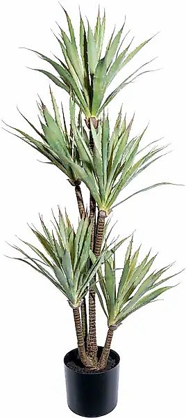 Künstliche Zimmerpflanze Agave Sukkulente, Creativ green, günstig online kaufen