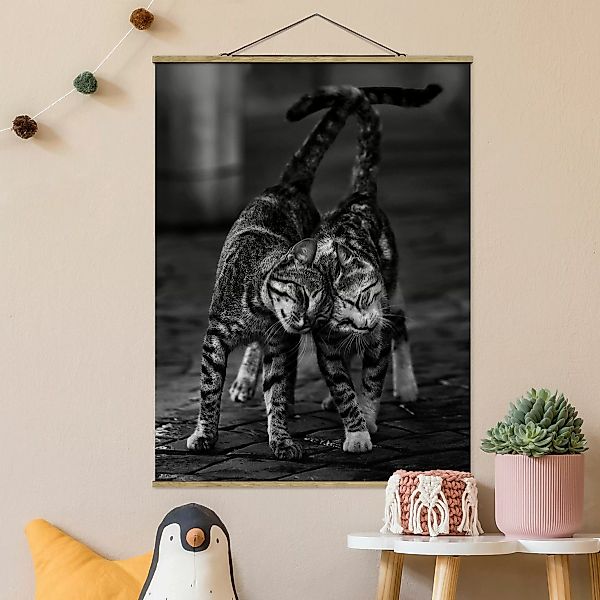 Stoffbild Tiere mit Posterleisten - Hochformat Kätzchenfreundschaft günstig online kaufen
