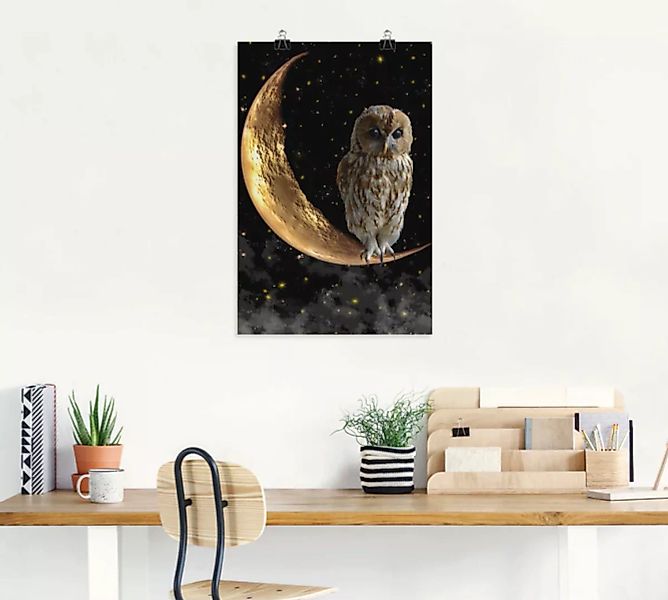 Artland Wandbild "Nachteule", Vögel, (1 St.) günstig online kaufen