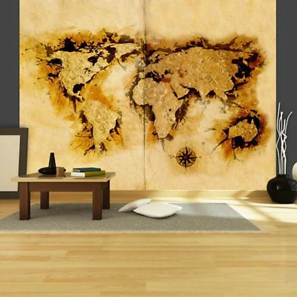 artgeist Fototapete Weltkarte der Goldsucher mehrfarbig Gr. 400 x 309 günstig online kaufen
