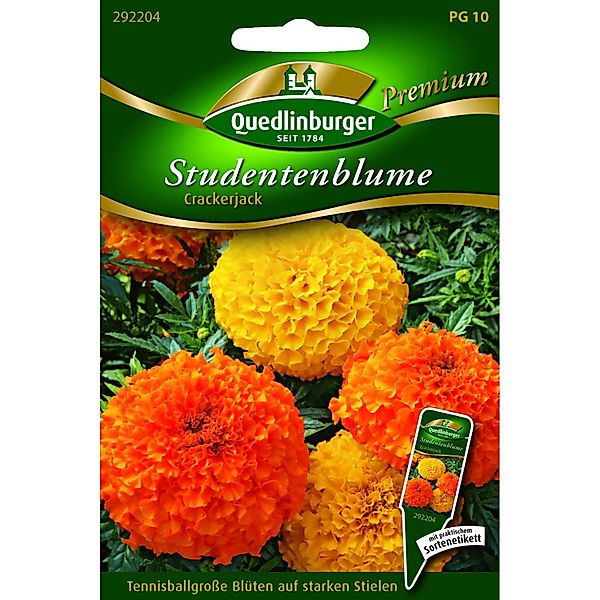 Quedlinburger Studentenblumen ''Crackerjack'' günstig online kaufen