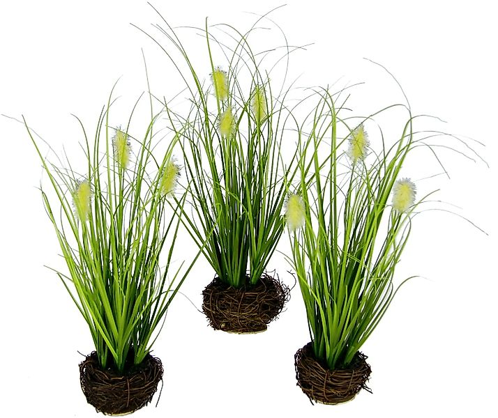 I.GE.A. Kunstgras "Künstliches Gras Fuchsschwanz", Im Reisig-Nest, 3er Set günstig online kaufen