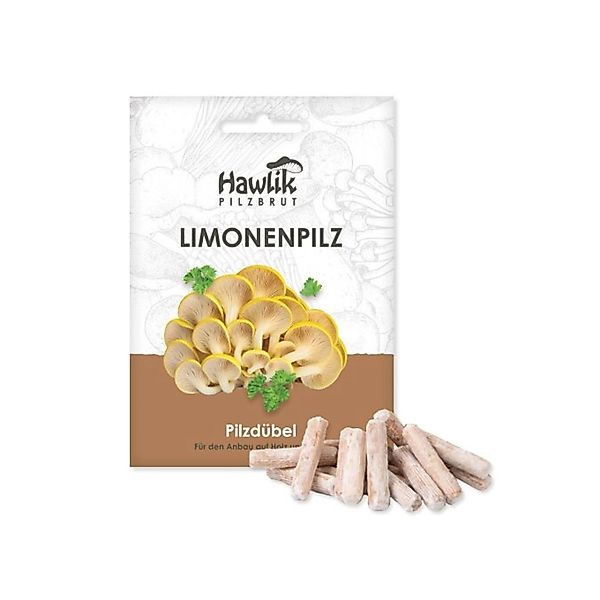 Hawlik Pilzbrut Myzel Dübelbrut Limonenpilze für Pilzzucht im Garten auf St günstig online kaufen