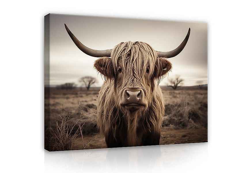 Wallarena Leinwandbild Kuh Schottisches Hochlandrind Cow Wandbilder Wand De günstig online kaufen